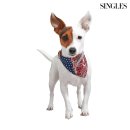 강아지와고양이 이미지