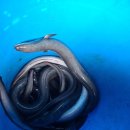 은현피싱타운 이미지