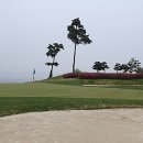 푸른솔 골프클럽 포천 | [3년 전 오늘] [푸른솔포천GC라운딩후기] #푸른솔뷔페조식 #써니사이드업 #푸른솔포천이용요금 #청진동...