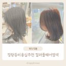 퍼스트에비뉴1차 | 정왕동미용실 컬러풀헤어 후기✨ 친구 추천으로 방문한 이유는?