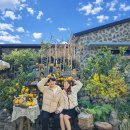 서호동-34 | 제주 서귀포 카페 추천, 귤밭 포토존 예쁘지만 붐볐던 귤꽃다락