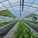 (주)현성환경 이미지