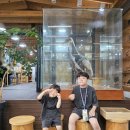 DMZ평화관광안내센터 | 철원 DMZ 평화관광 코스 여름 후기