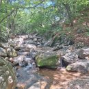 둔덕삼거리 | [공지] 20250618정오 무더위속 금정산산행