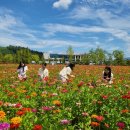 농업테마파크 이미지