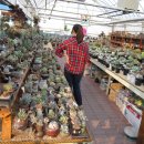 칠포농장 이미지