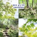 생명나무숲 | 제주도 숲길 추천 교래자연휴양림 동쪽 여행 코스
