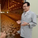 웅양면-31 네이버블로그