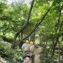 소천로 | 아기랑 곤지암 리조트 5월 후기｜생태하천·곤돌라·스네프 에어침대 내돈내산