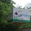 나리와꽃창포 이미지