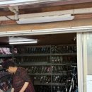 여의도공원인라인대여소 네이버블로그