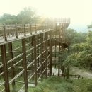 소백산 화전민촌 이미지