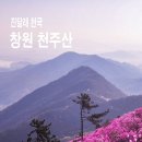 진달래 천국, 창원 천주산 진달래산행 이미지