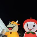 장수-5 | 장수 제1회 레드푸드레이스 5km 완주 후기! (인생 첫 마라톤인데 우중런) + 레이스 기록과 사진 찾기 링크