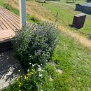 별타고스테이션 | 뉴질랜드 남섬 트와이젤 벤 오하우 하이컨트리 스테이션 에어비앤비 숙소후기