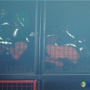 양천소방서 목동119안전센터 이미지