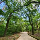 신라복지회 | (23년8월)경북 봉화&amp;울진 당일치기여행-②...울진 불영사, 불영계곡