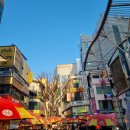 세정약국 | 부산또간집 세정 한치모밀 웨이팅 내돈내산 후기