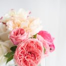 순화궁로418 이미지