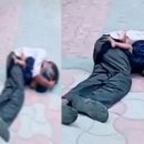 아빠손동물병원 이미지