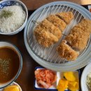 도모카레 이미지