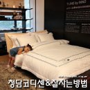 청담코디센 이미지