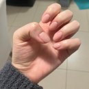 미주농장 | 패치 추천,미슐랭 가이드 Published on Main &amp; 버나비 올유캔잇 Meat up bbq후기,스포츠 없인 못사는 일상