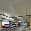 분당-252 | 분당 구미동 하마을 5단지(주공) 임장ㅣ구미동 거주자 후기