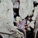 가마솥찹쌀순대 이미지