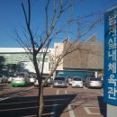 남해실내체육관 이미지