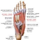 근육다짐 이미지