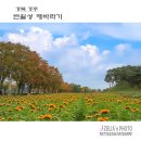 반월성