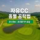 자유컨트리클럽 | 자유 컨트리클럽(자유CC) 공략법 &amp; 리얼 후기