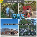 양암 | 여수가볼만한곳 여수관광지 동백열차시간표 동백꽃개화상황 '오동도'