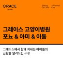 그레이스 고양이 병원 이미지