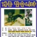 퉁이네 이미지