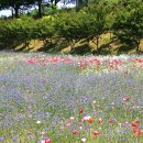 황룡강변2 이미지