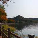 금구약방 | 모악산 금산사 미륵길을 걷다 < 김제 금산사 >