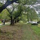 가산수피아 이미지