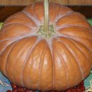 호박재배법 이미지