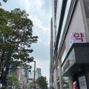 강남 리투오 내돈내산 스킨부스터 후기 눈밑 효과 신논현역 성형외과