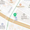 영등포21세기온누리약국 이미지
