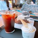 다시초록섬