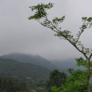 영화마을 이미지