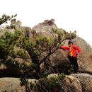 해찬솔길 이미지