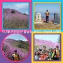 민들레 산악회/울산청맥 친선도모 밀양 종남산 진달래 산행(2018년 4월14일.토요일) 이미지