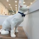 포리네 민박 이미지