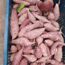 여주-1002 이미지