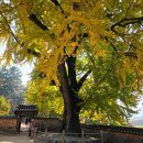 금시당 공용화장실 | 경남 밀양 가볼만한곳 단풍 명소 금시당 백곡재 실시간