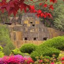 문향영양 이미지